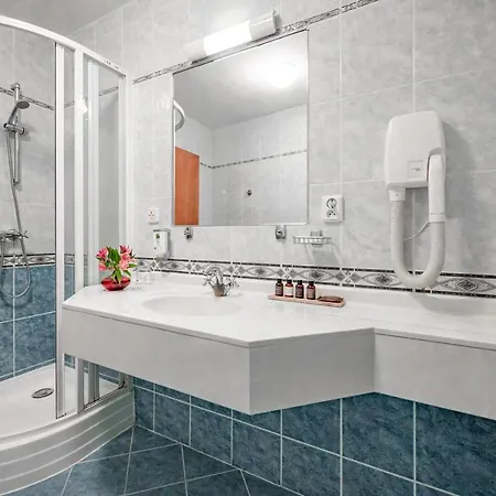 U Královny Elišky Hotel 4*